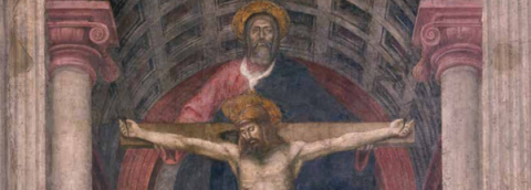 rassegna articolo 19